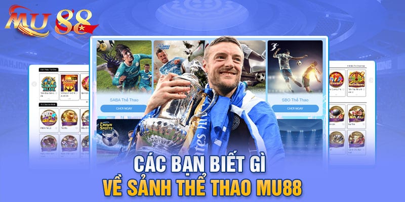 Các bạn biết gì về sảnh thể thao MU88